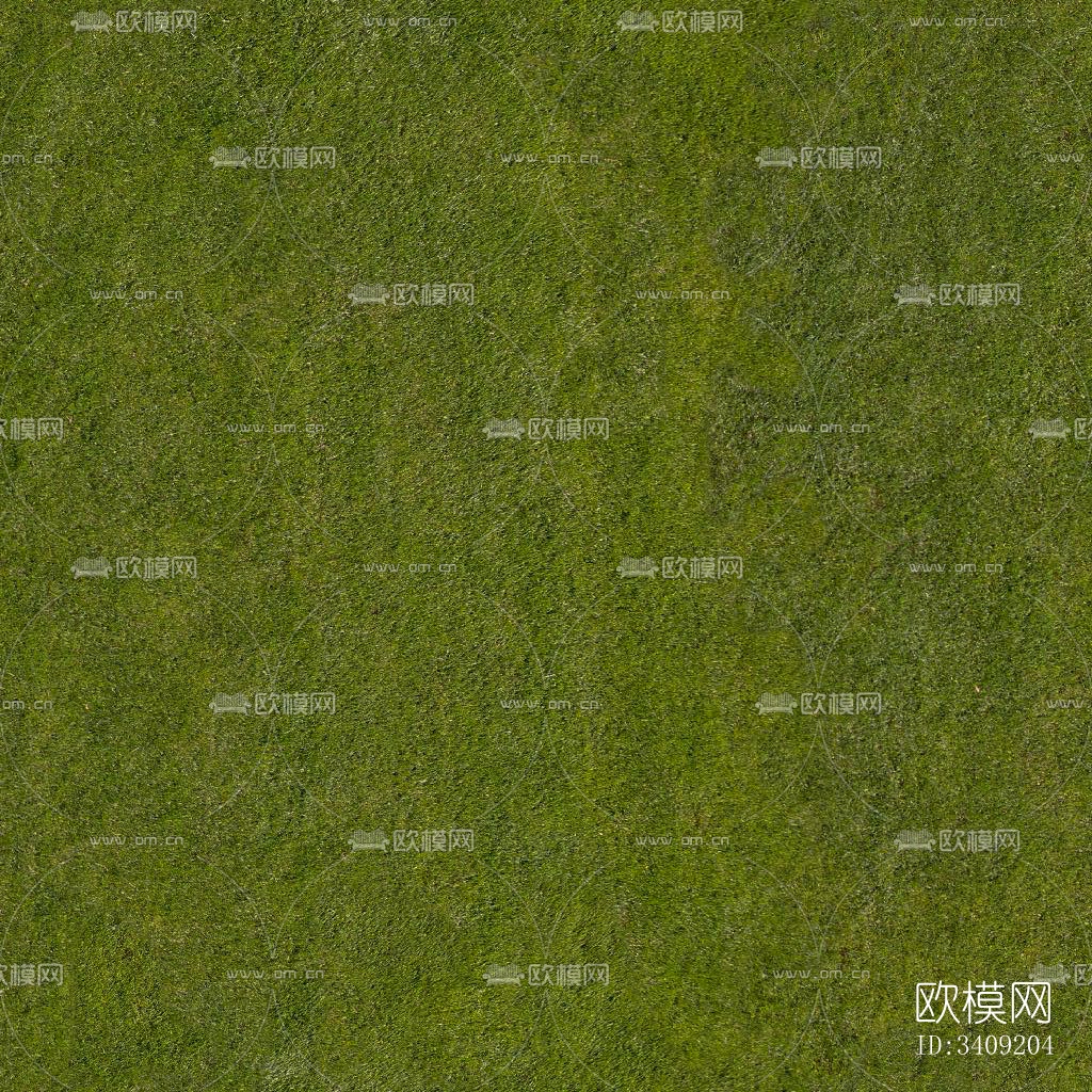 草坪 草皮地面 草地 植物 草丛 灌木 绿植地面下载