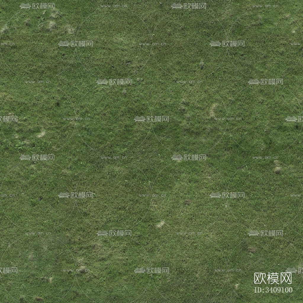 草地 草坪 草皮 植物 草丛绿植地下载