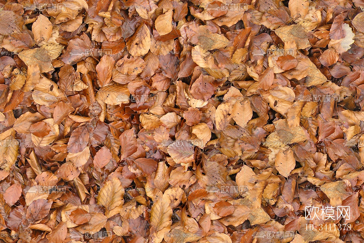 无缝枯黄枯枝落叶树叶草皮草地草坪道路地面下载