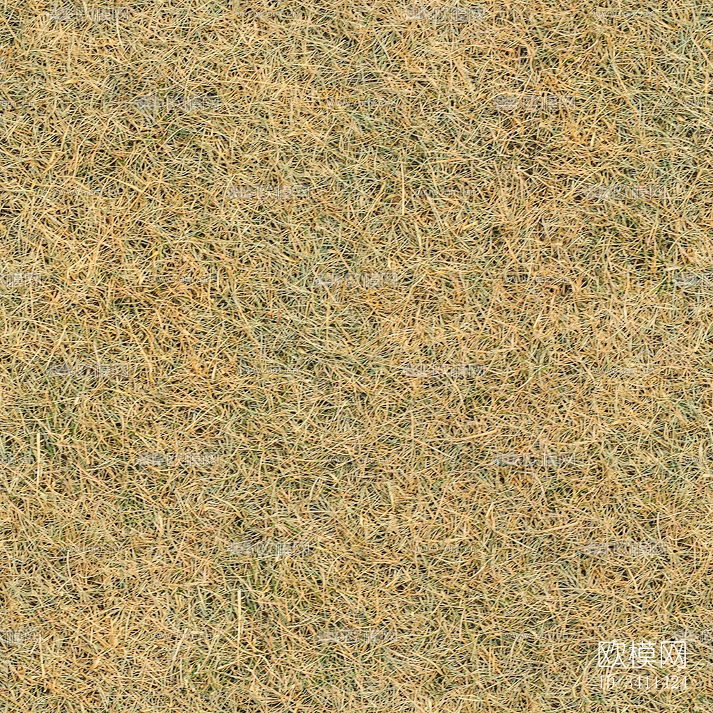 无缝园林庭院枯黄干枯草地草坪草皮泥土地面下载