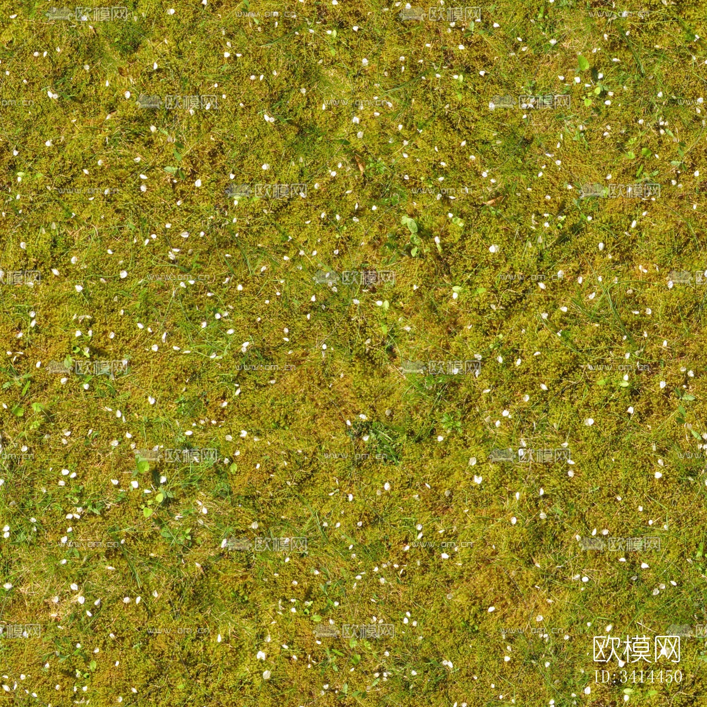 地面地表下载（渲染图3）