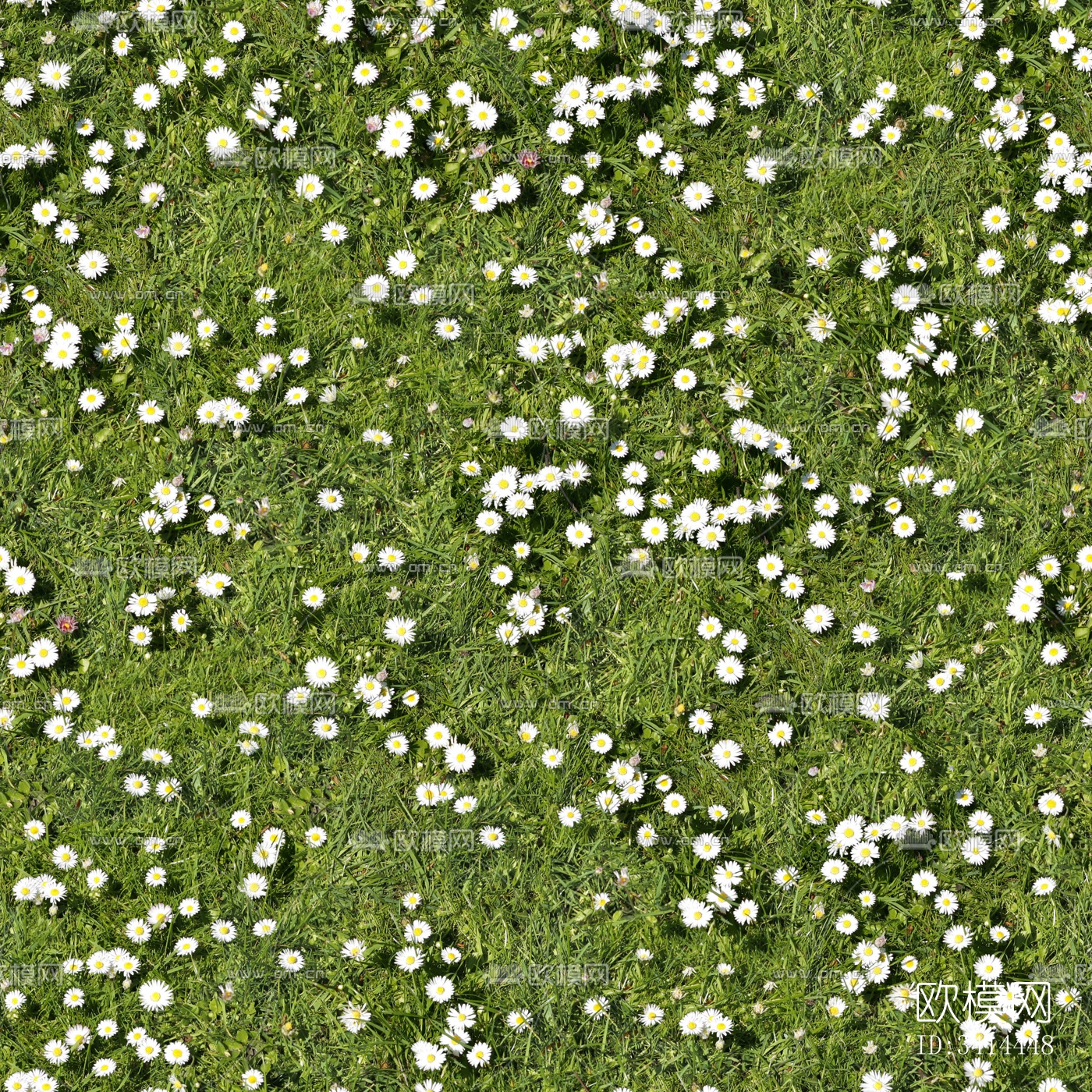 地面地表下载（渲染图2）