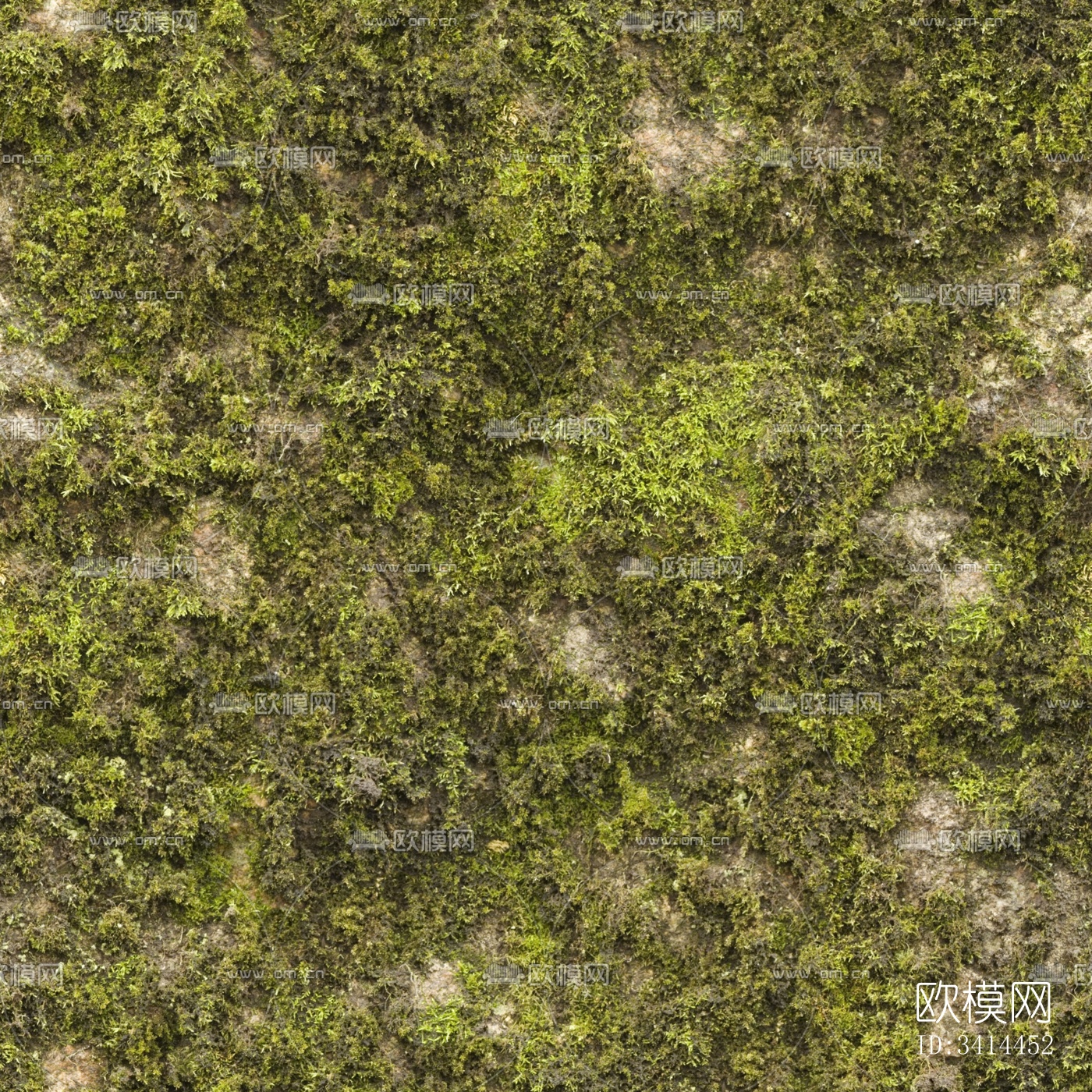 地面地表下载（渲染图1）