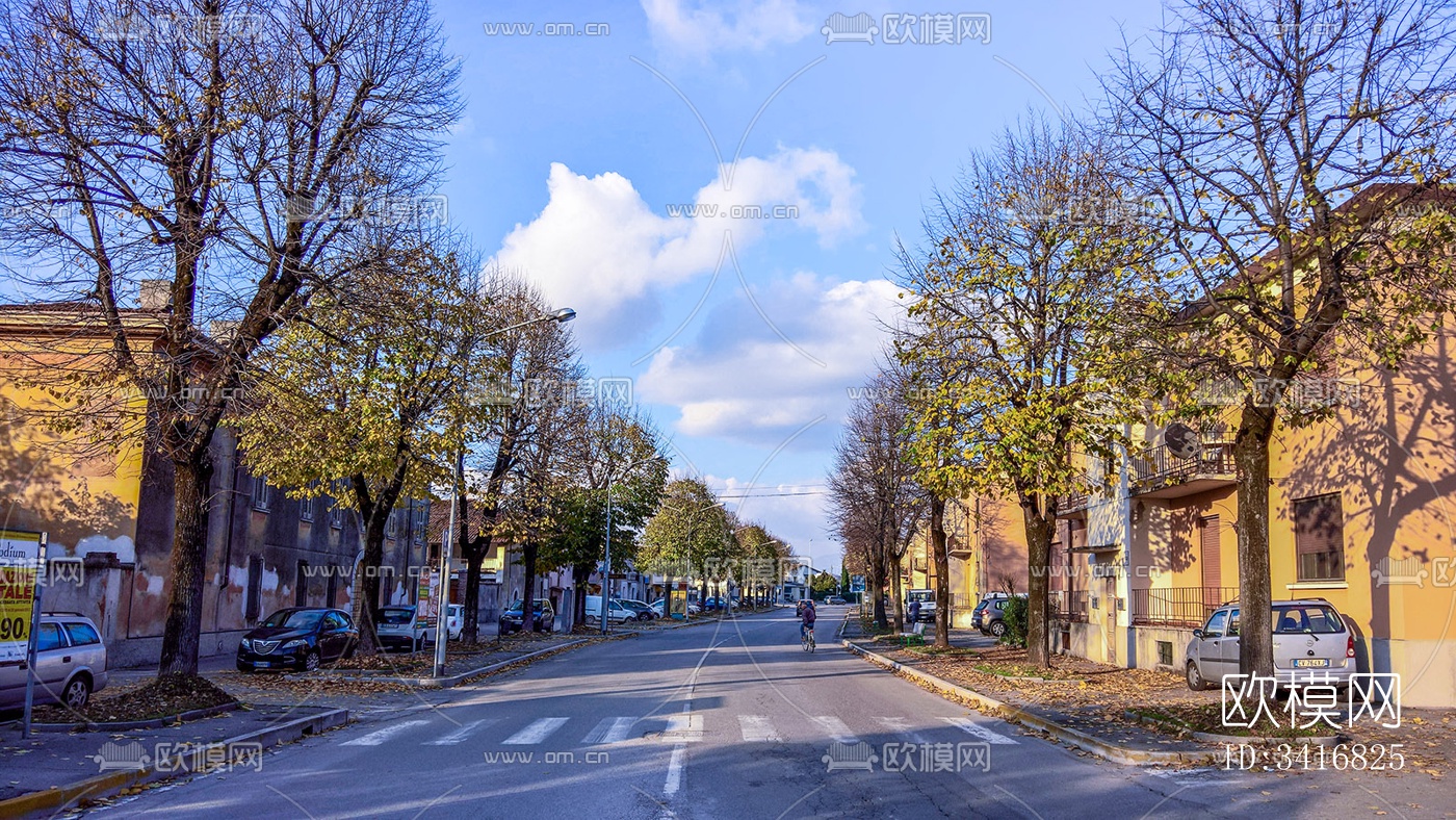 秋天的树木街道路面风景下载