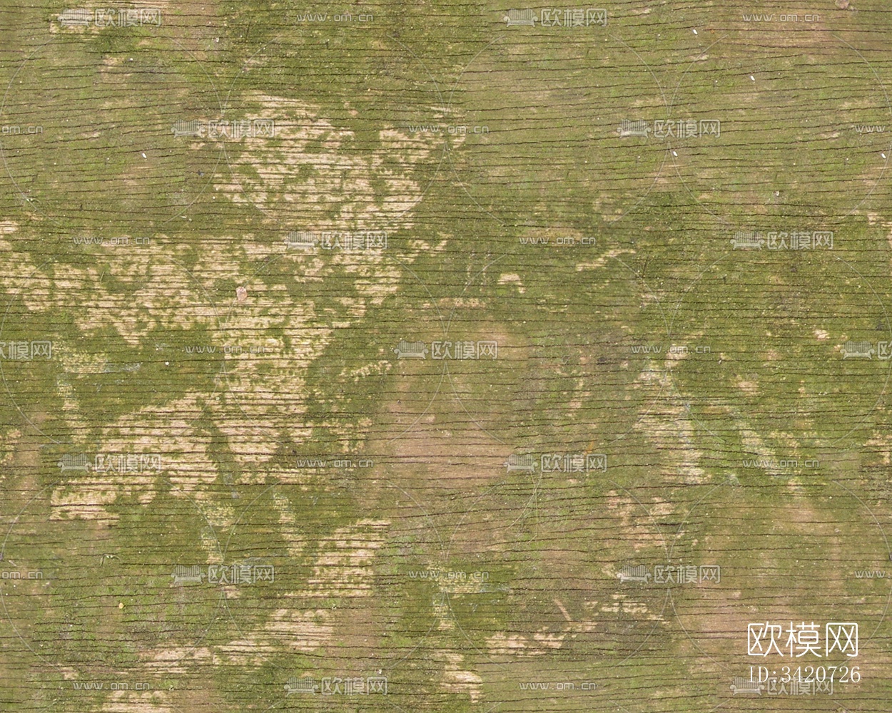 无缝开裂干枯树皮纹理下载