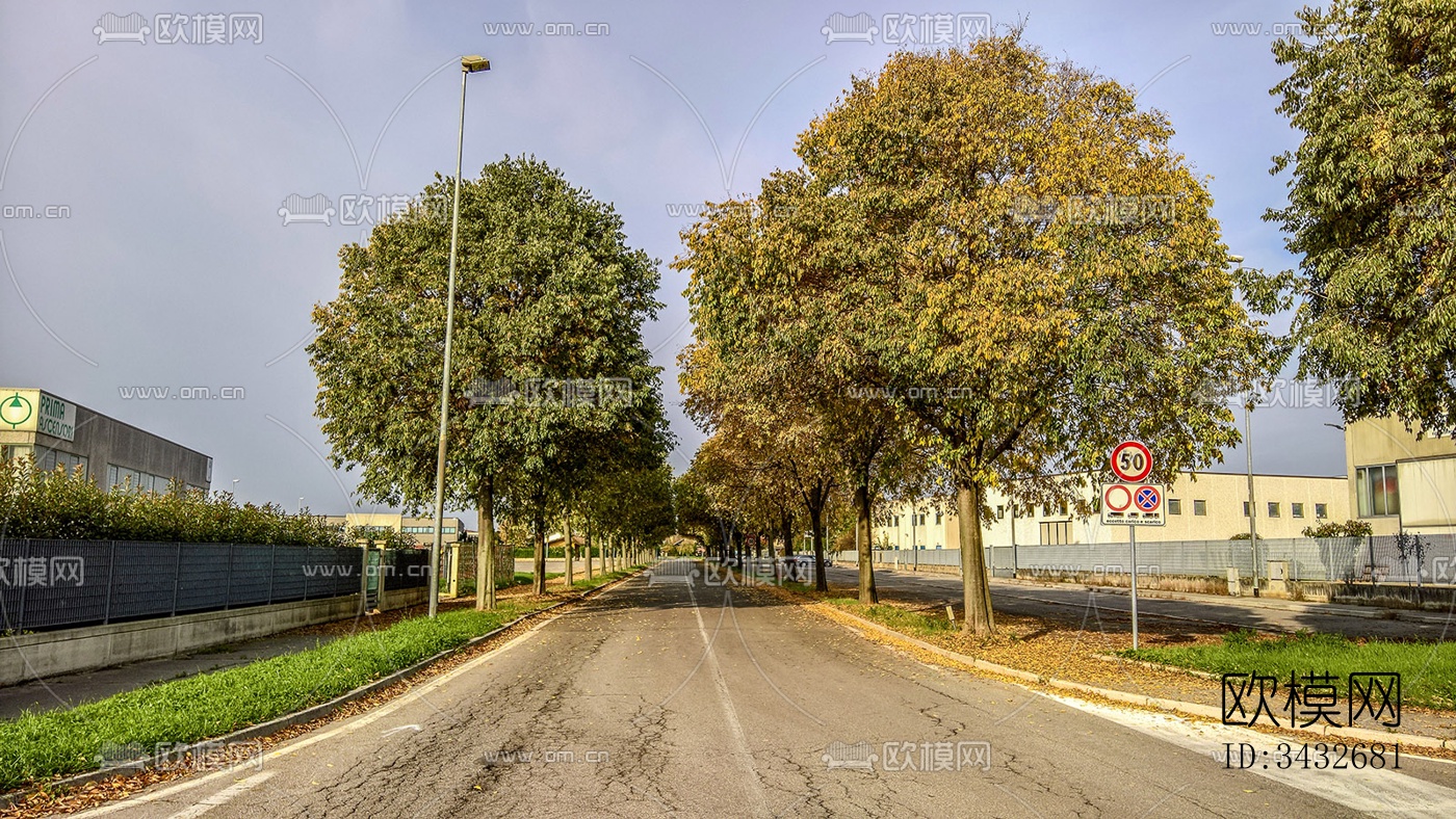 秋天的树木街道路面风景下载