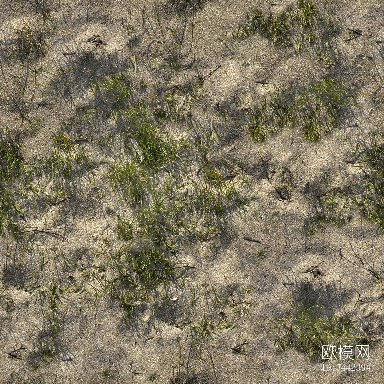 无缝黄色沙滩沙子沙土草地草皮草坪地面下载