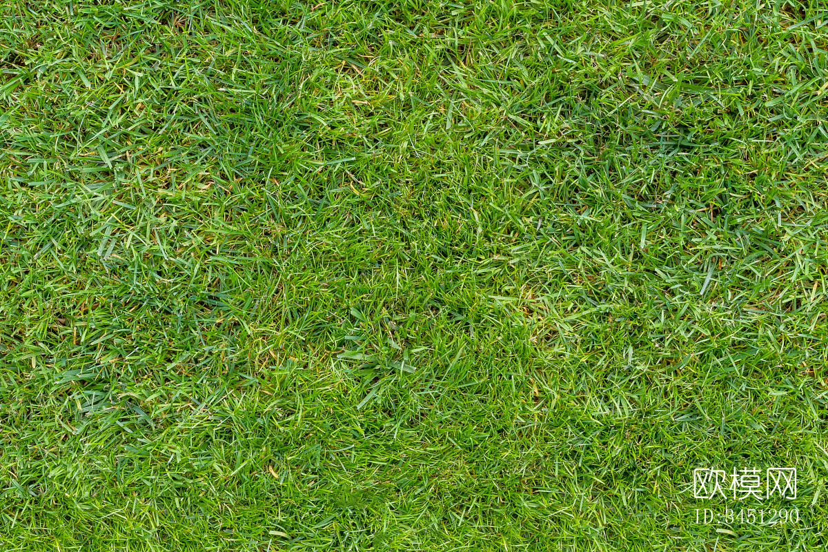 草地草坪绿地贴图下载