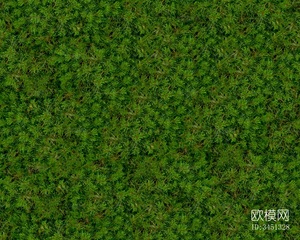 草地草坪绿地贴图下载