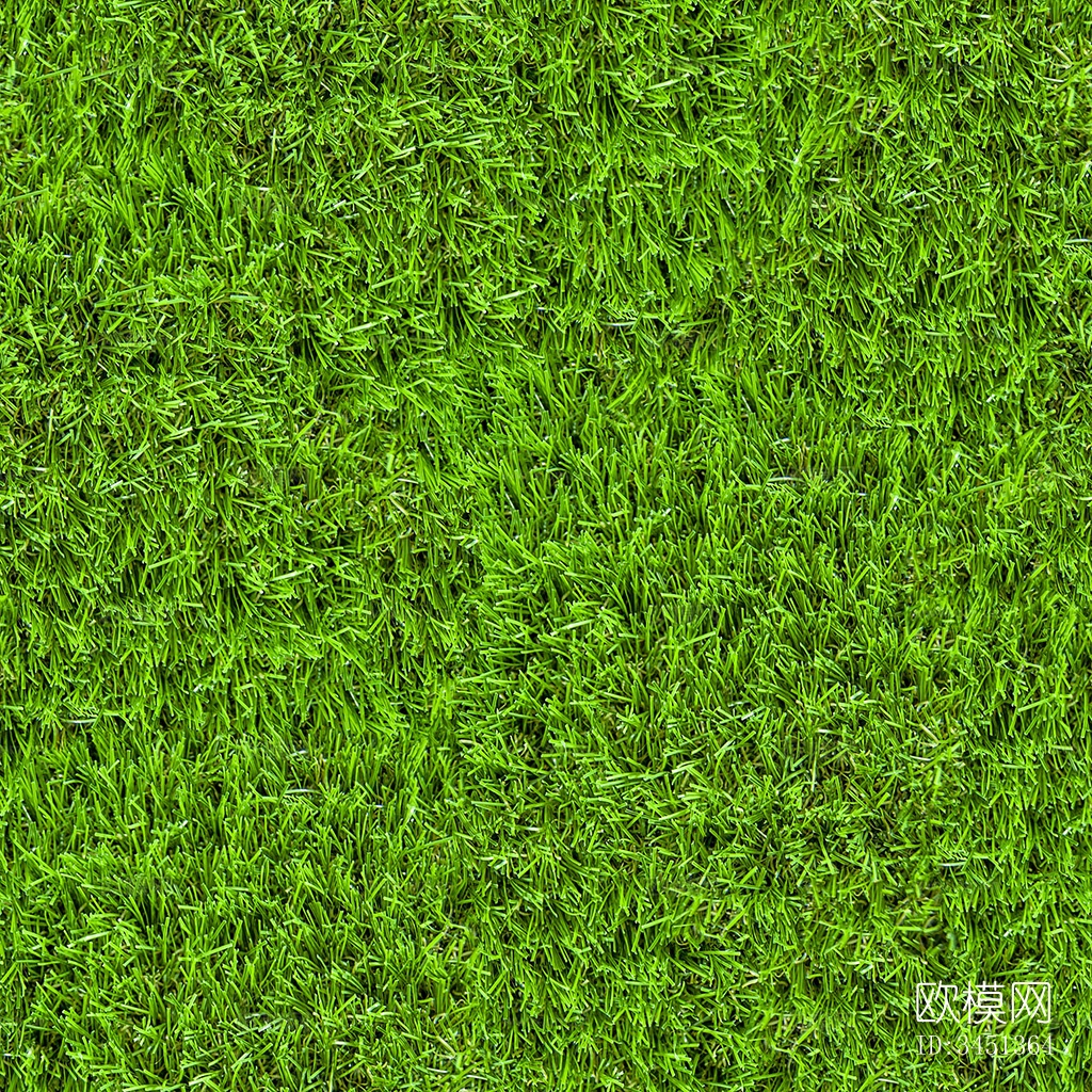 草地草坪绿地贴图下载