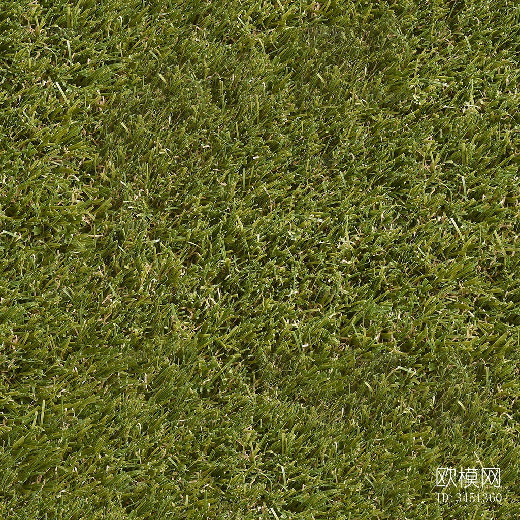 草地草坪绿地贴图下载