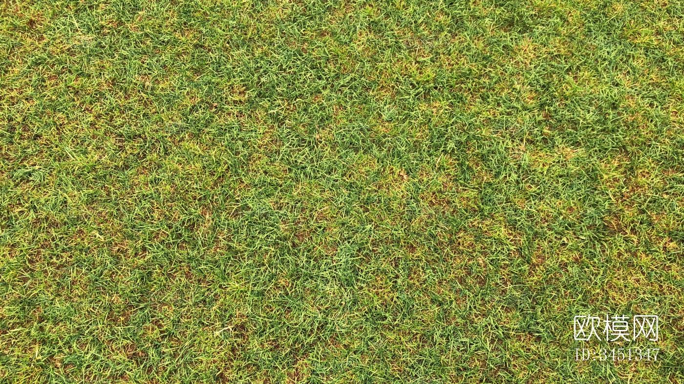 草地草坪绿地贴图下载