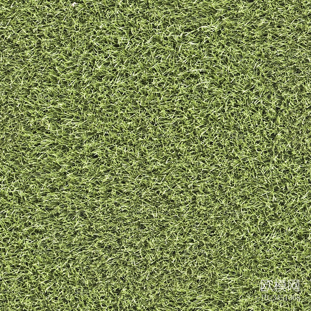 草地草坪绿地贴图下载