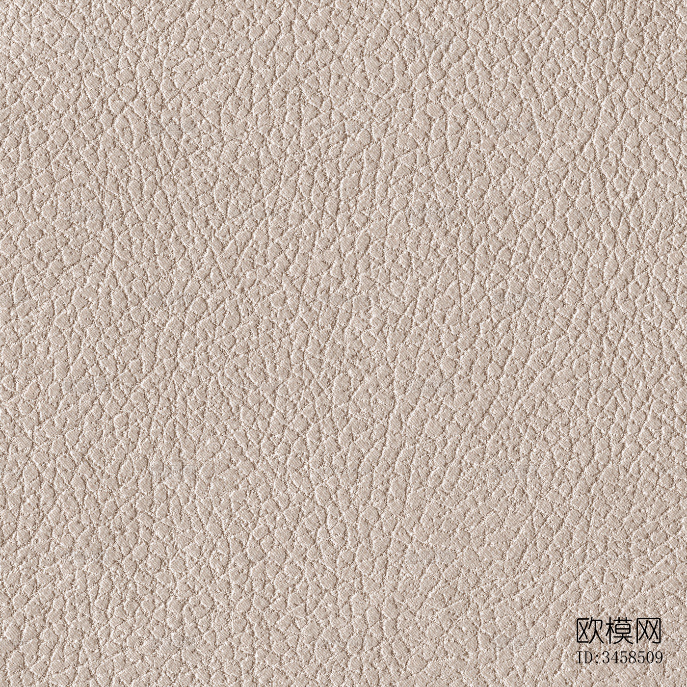 粗纹皮革下载