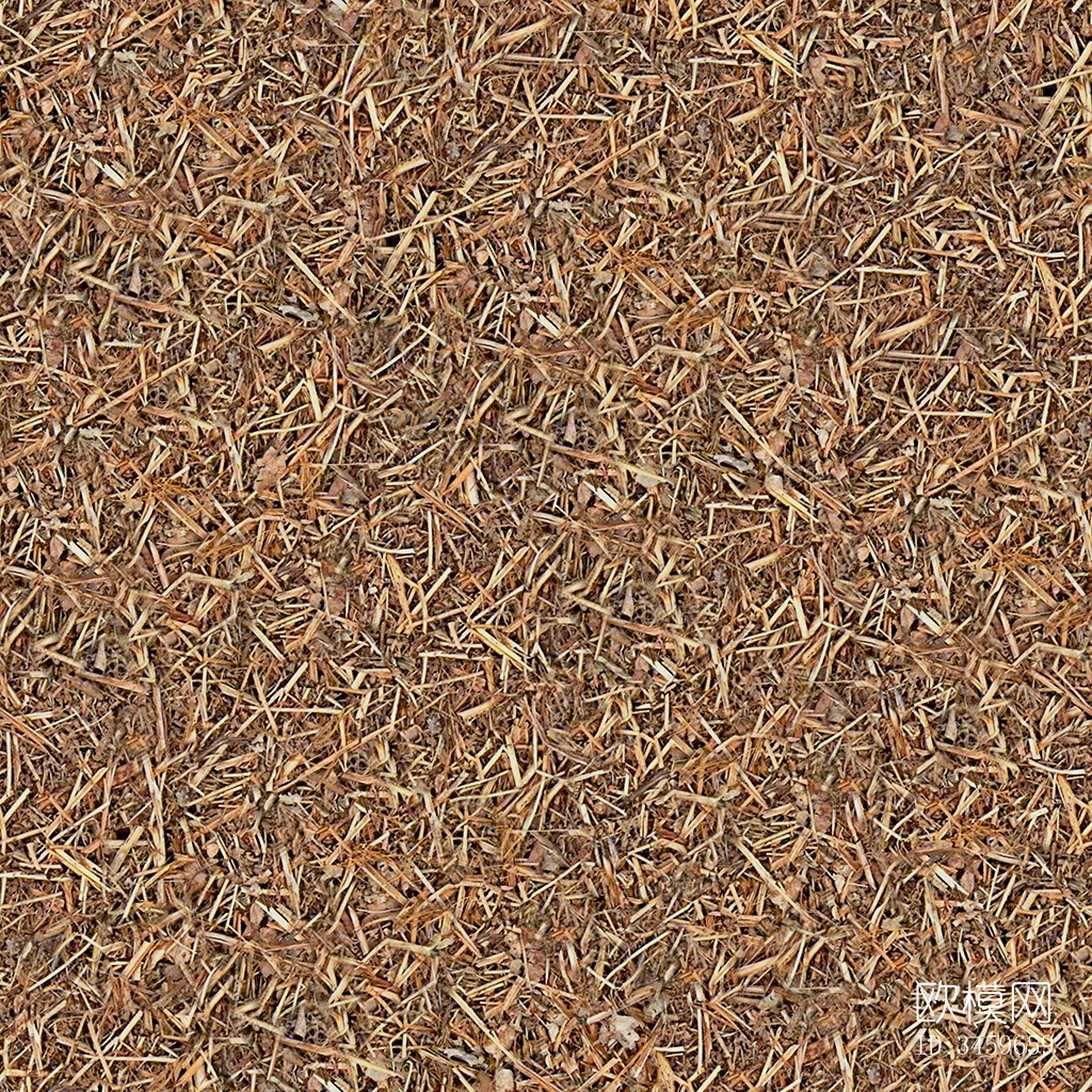 无缝园林庭院枯黄干枯草地草坪草皮泥土地面下载