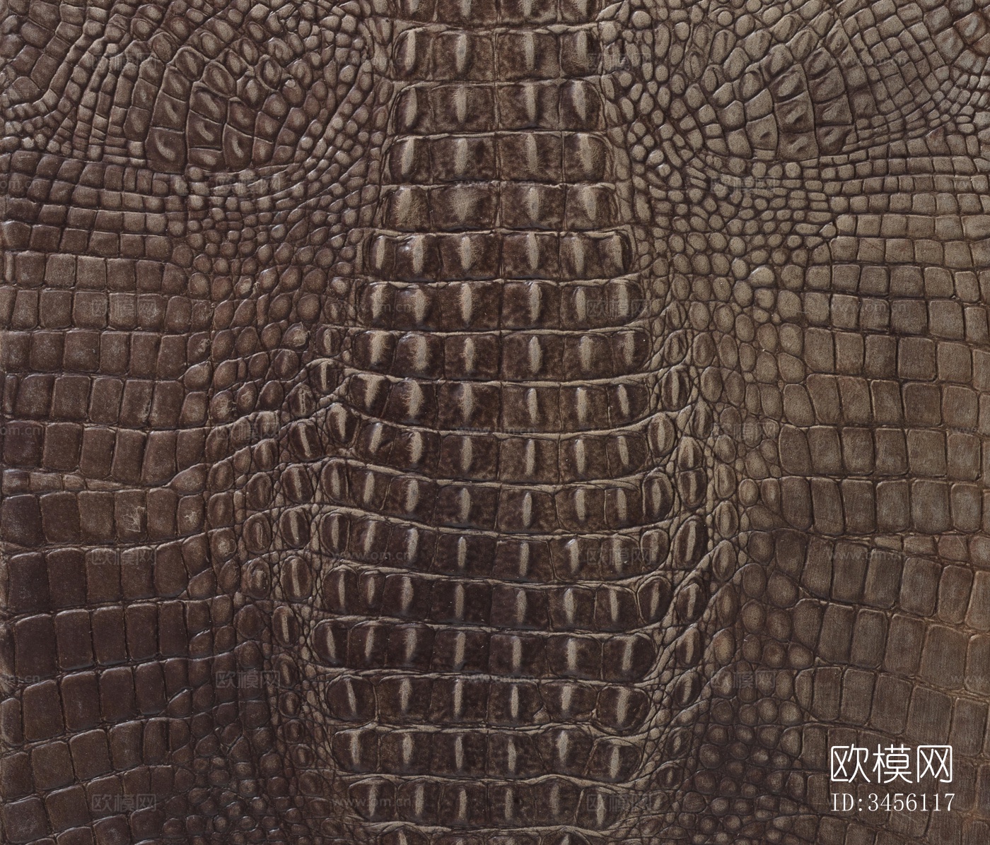 鳄鱼皮纹理下载