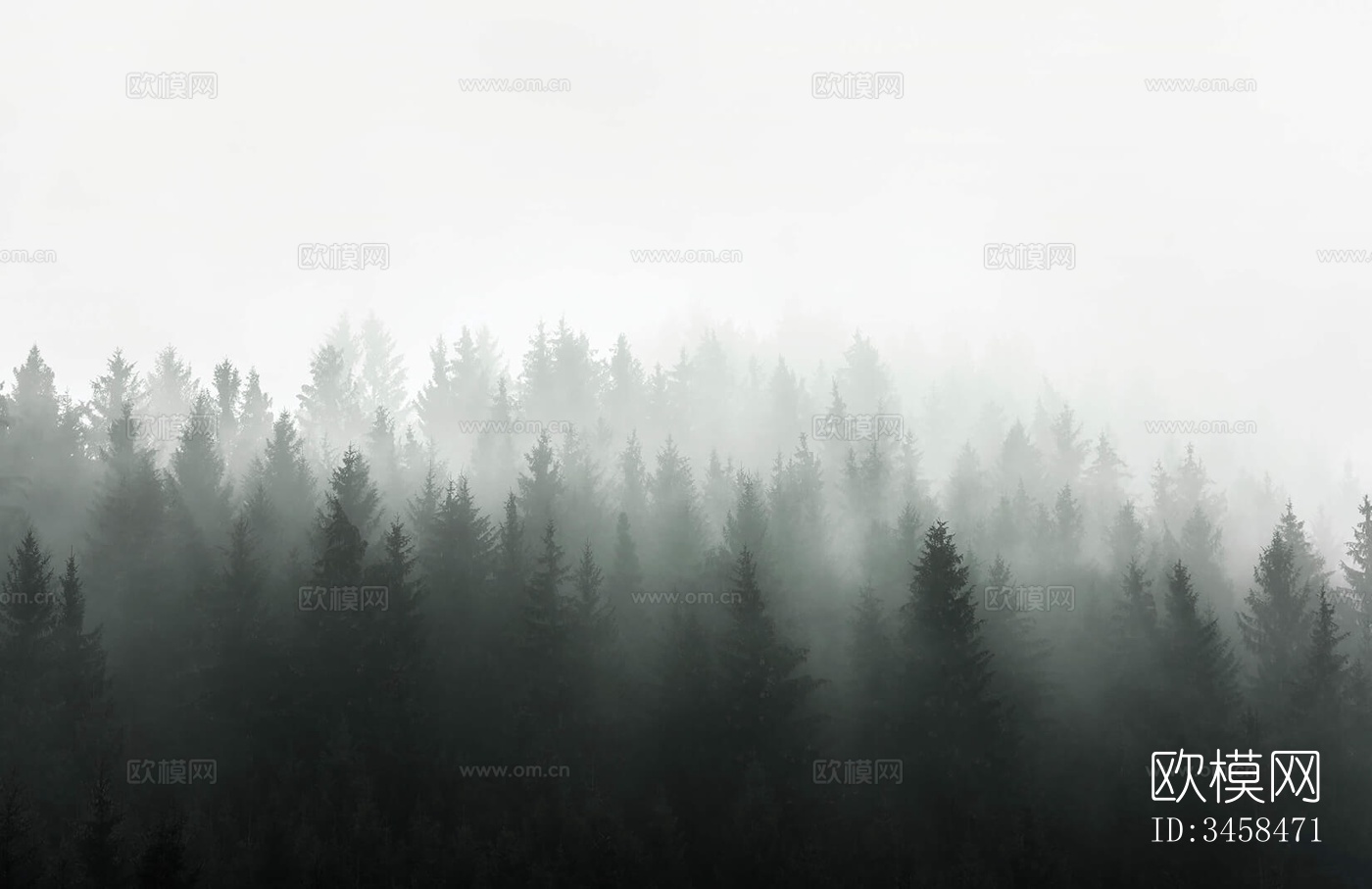 森林树林外景贴图下载