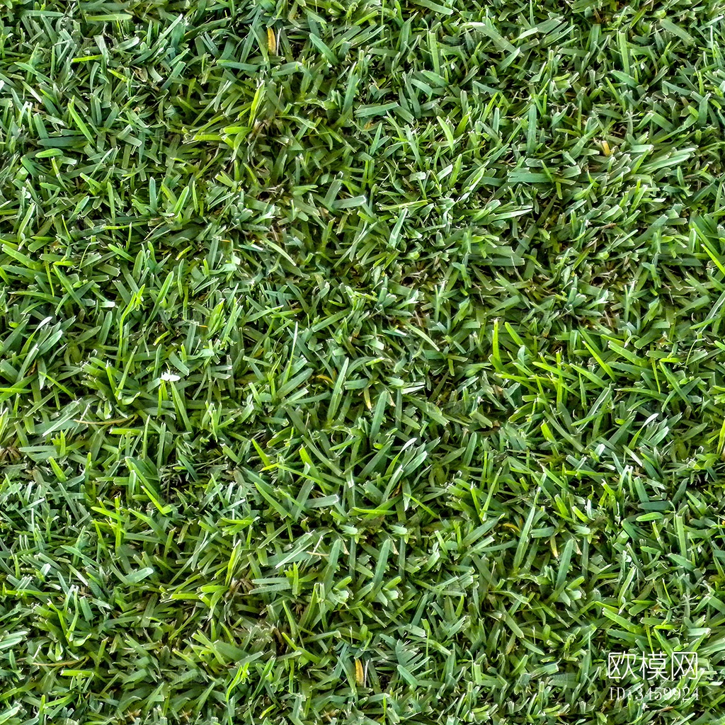 无缝园林庭院景观绿色草坪草地草皮地面下载