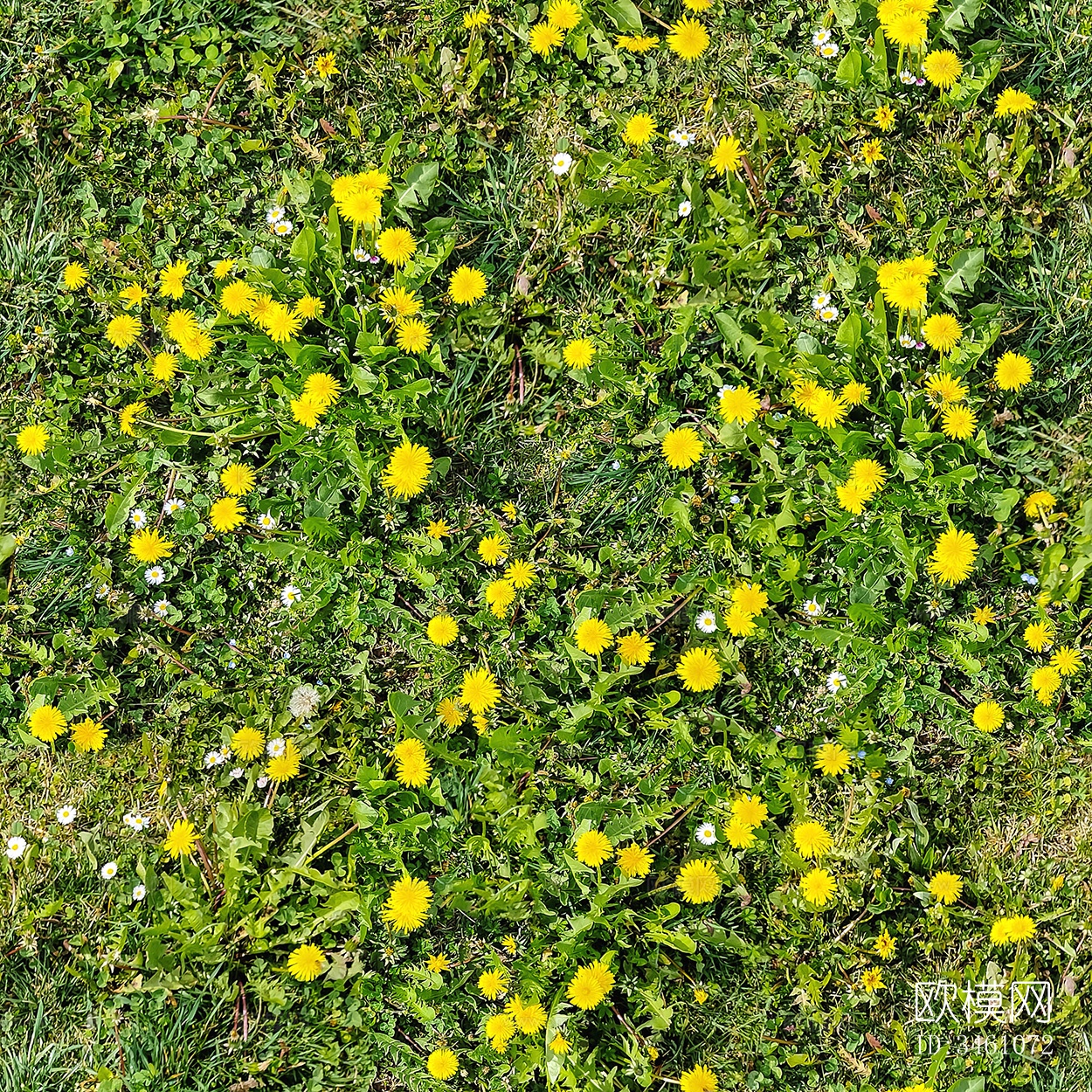 无缝园林庭院景观花园田野黄色花卉鲜花绿植草坪草地草皮地面下载