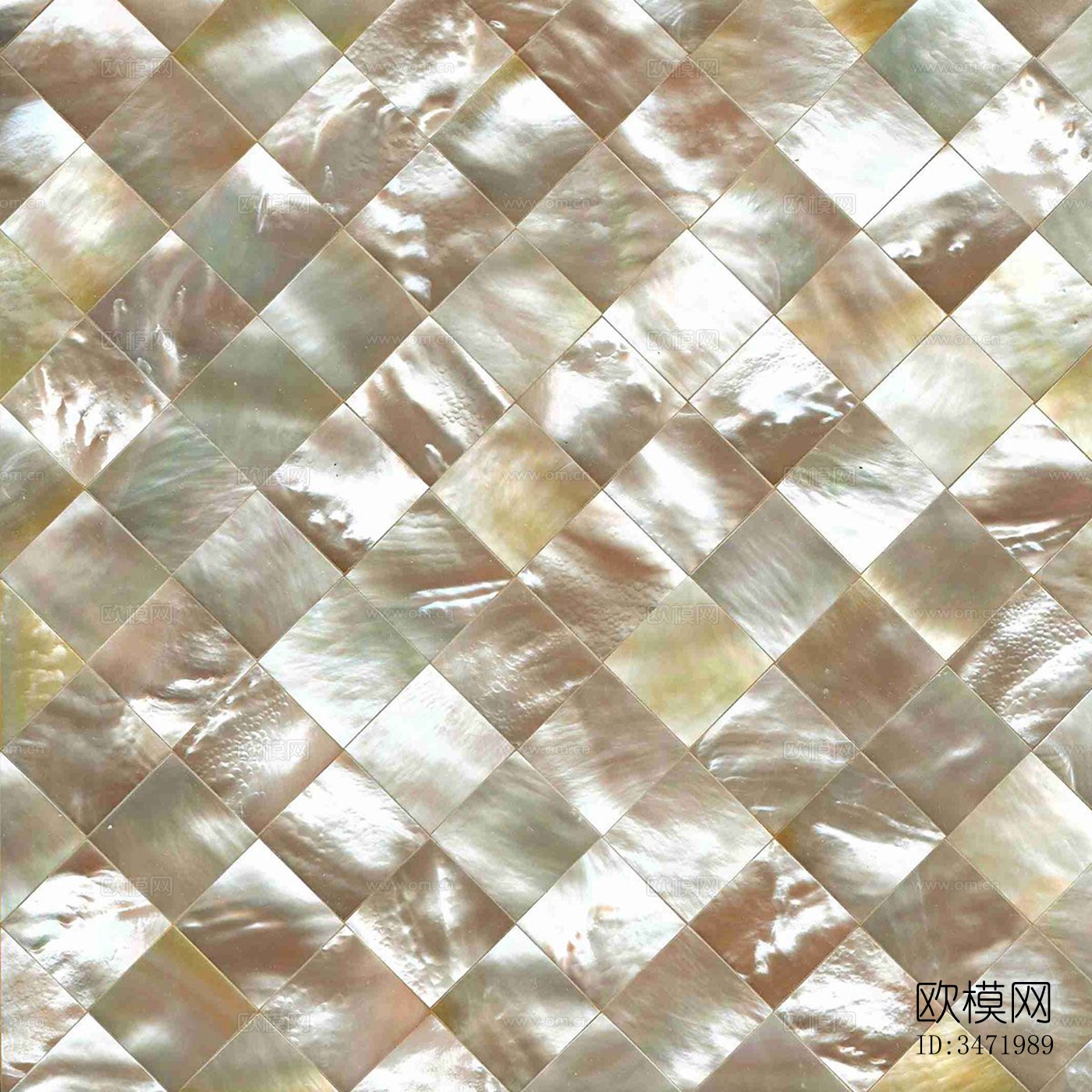 贝壳马赛克下载