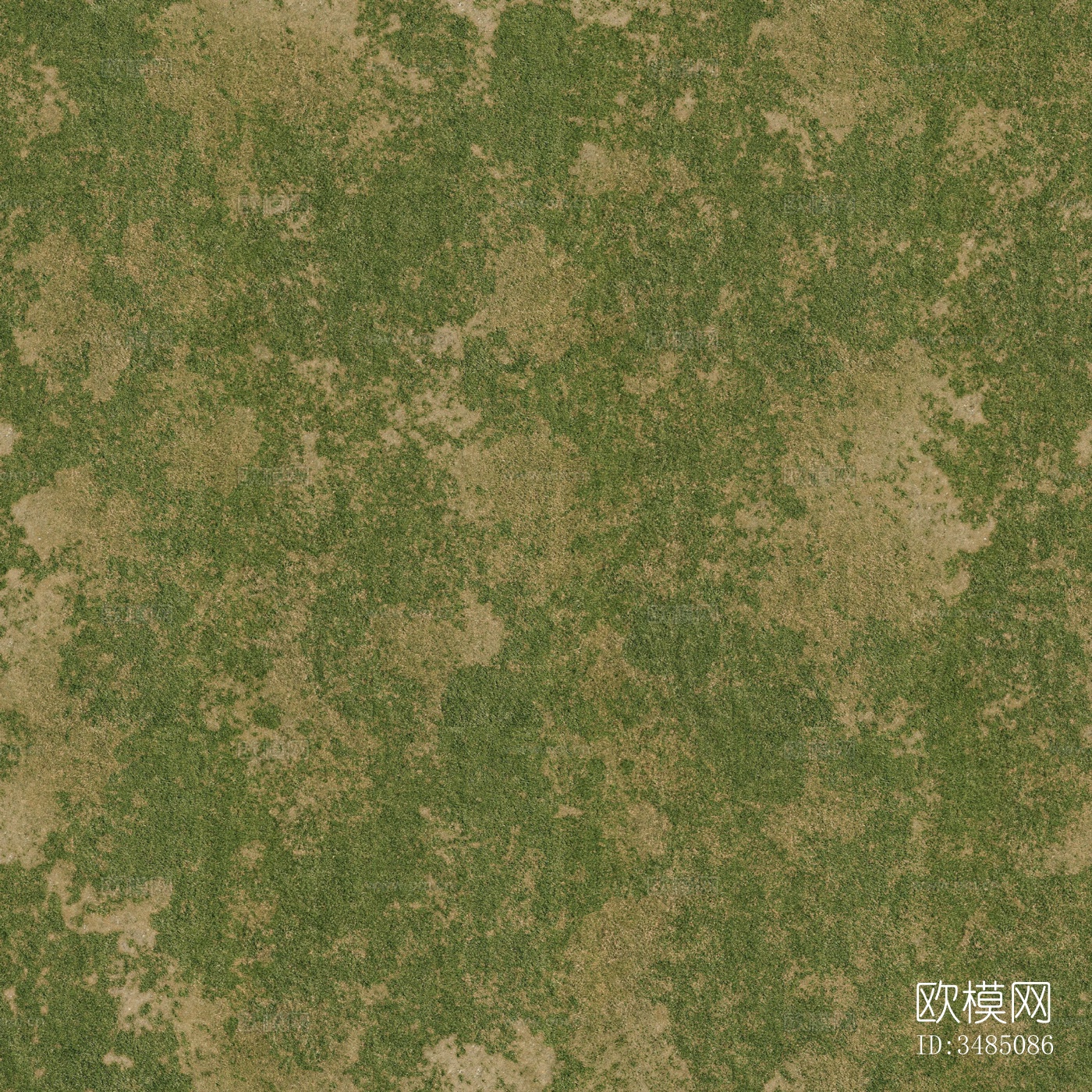 草地 草坪 草皮地面下载