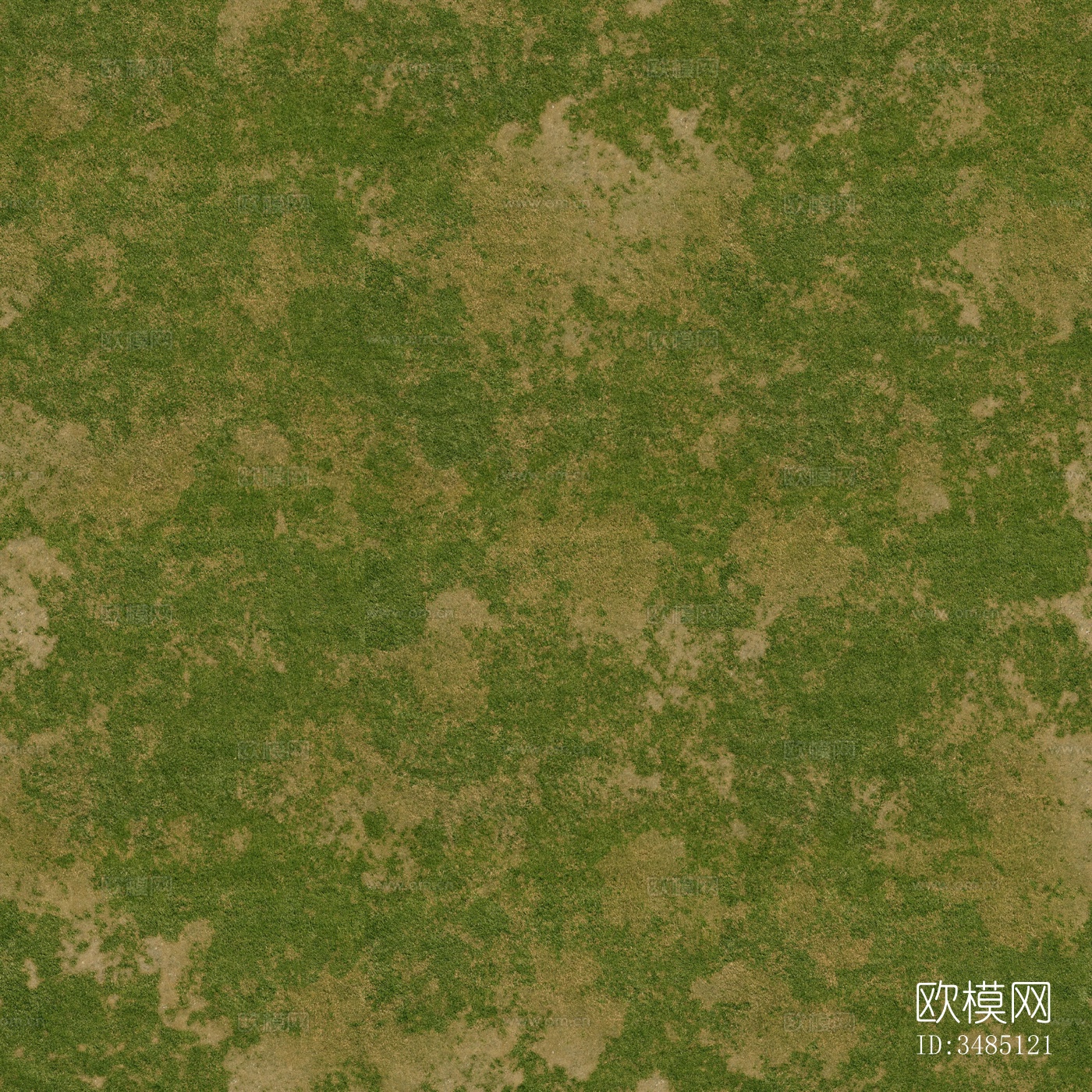 高清草坪 草皮地面 草地 植物 草丛灌木绿植地面下载