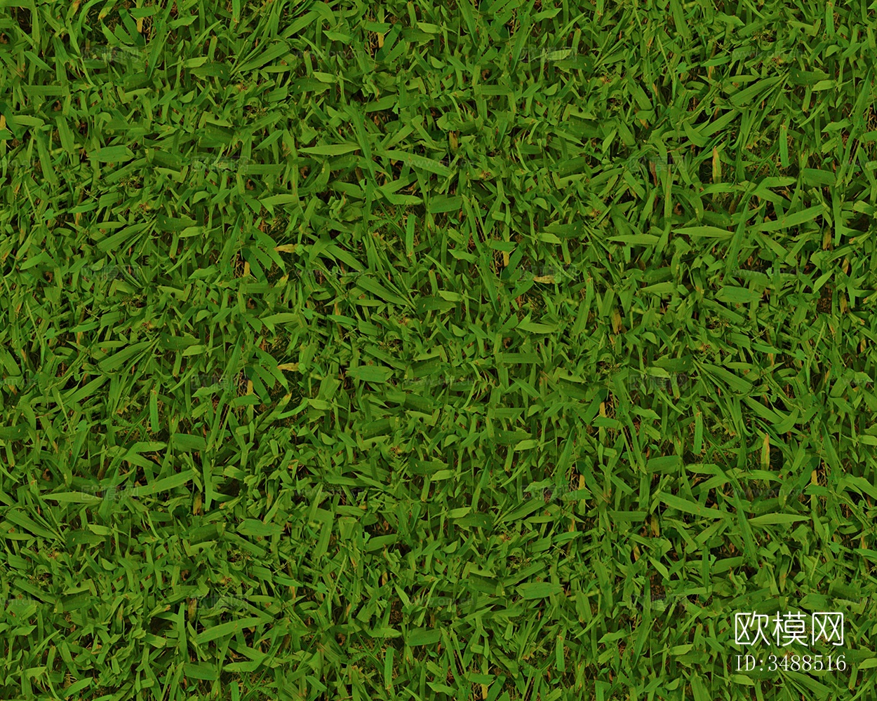 无缝园林庭院景观绿色草坪草地草皮地面下载