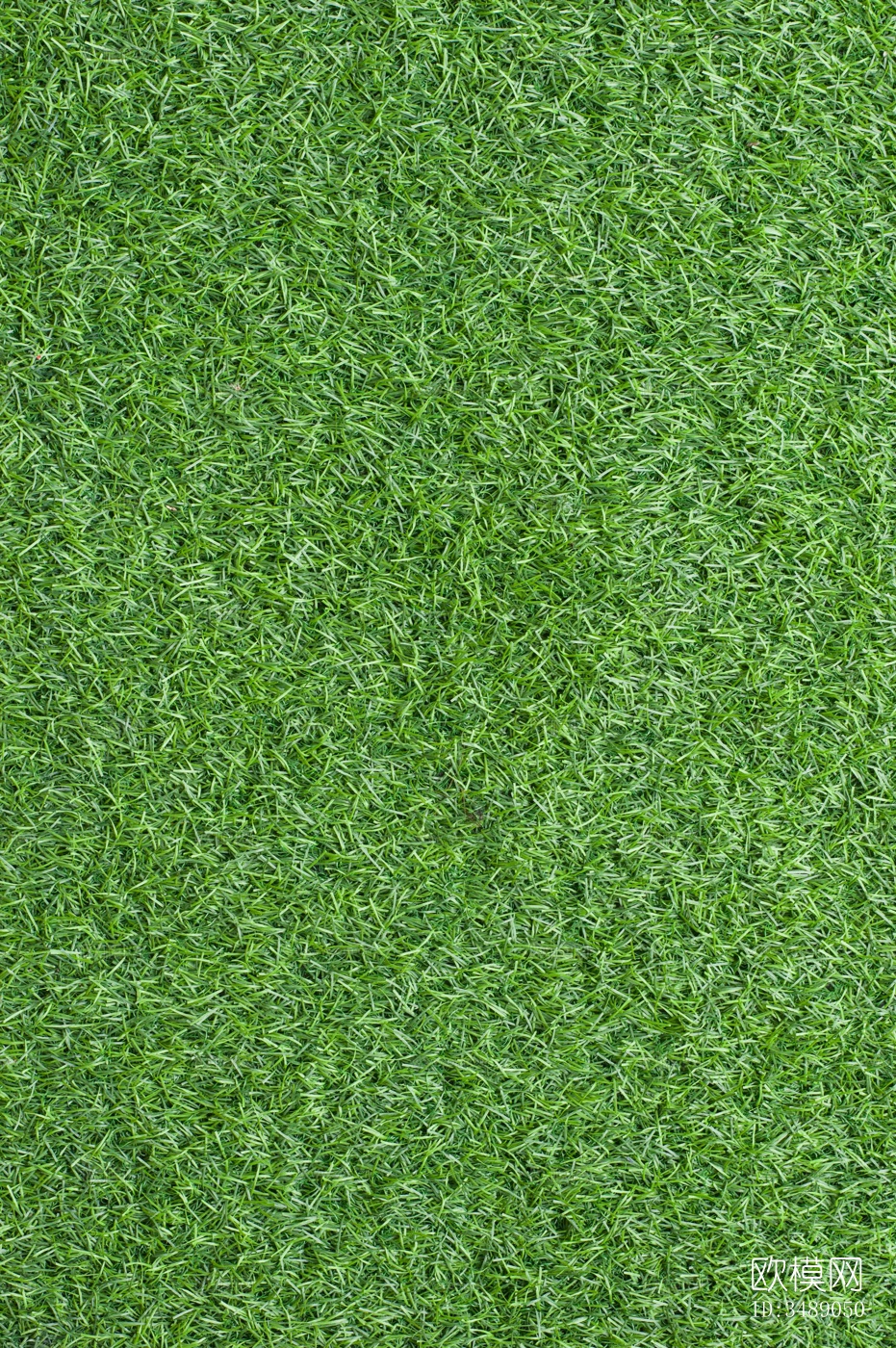 草地草坪高清贴图下载