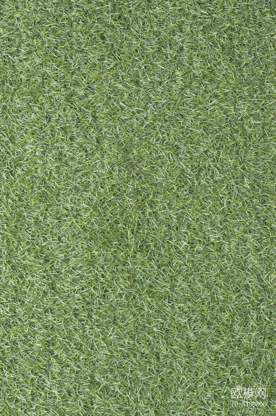 草皮下载