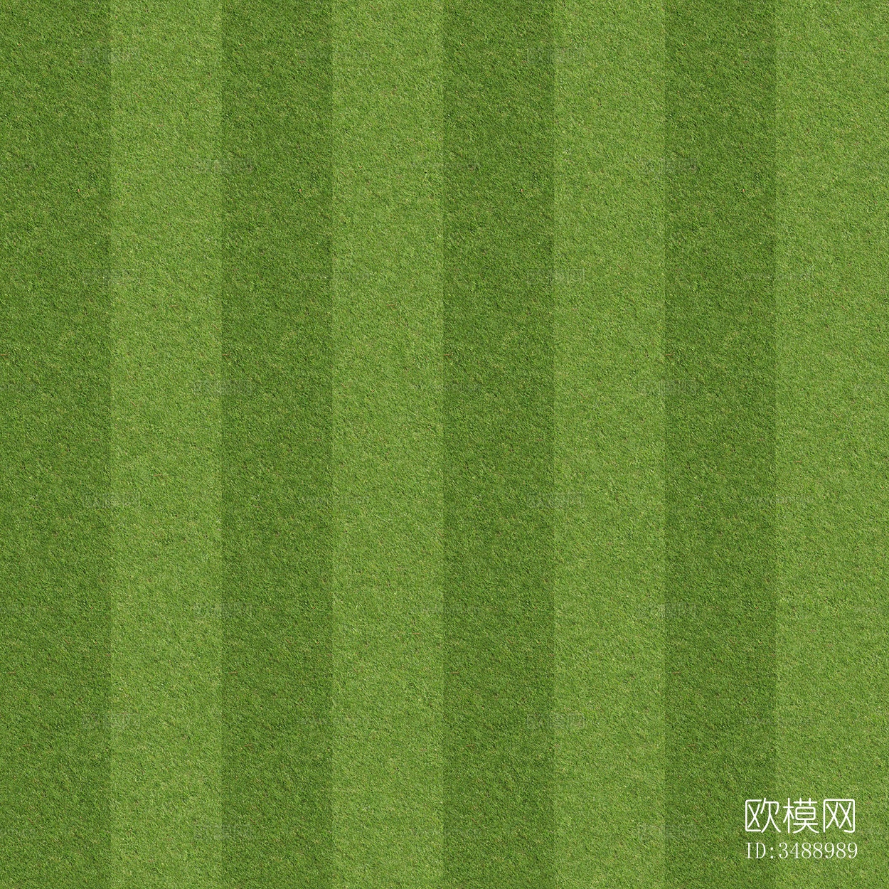无缝绿色草坪草地草皮足球场地面下载