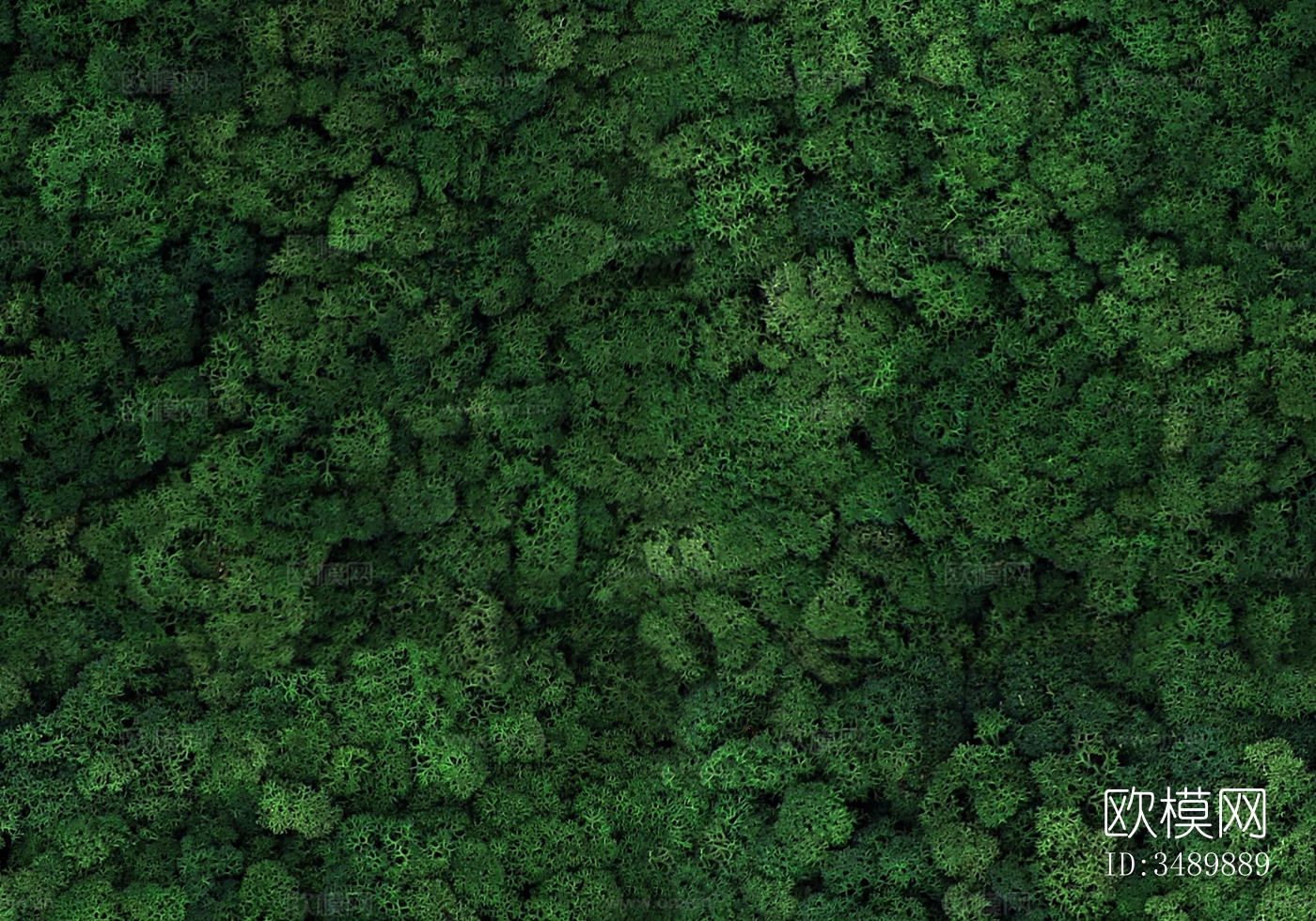 竞赛风树群 绿色森林俯视图 树林俯视图下载