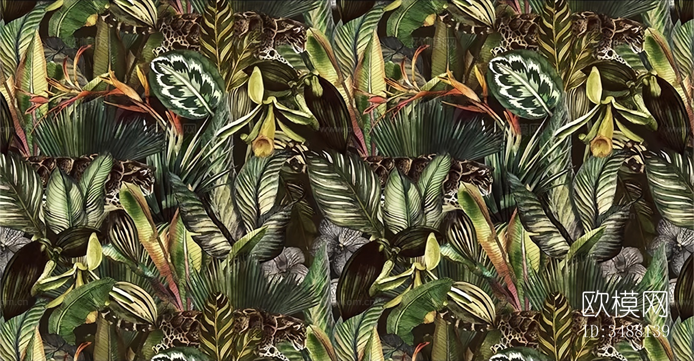 热带植物叶子壁纸