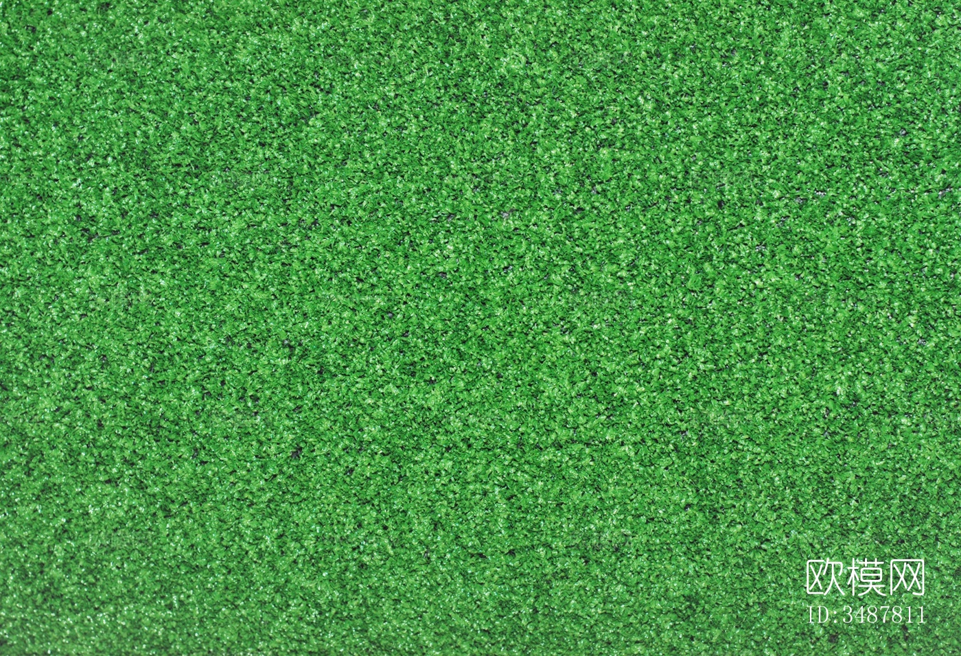 绿色办公地毯下载