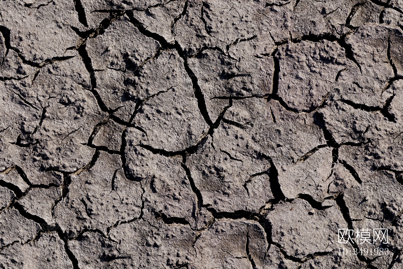 无缝灰色干旱开裂泥土壤道路地面下载