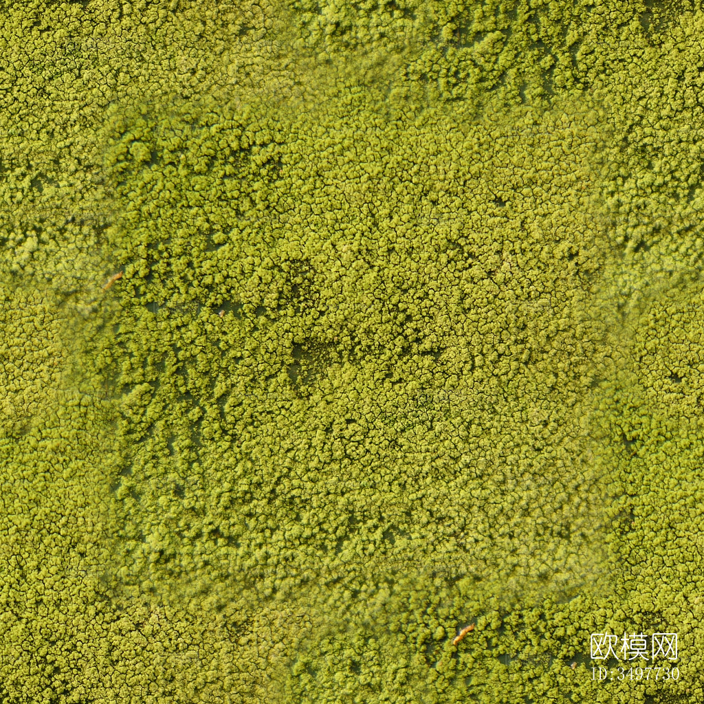地面铺装脏旧凹凸下载
