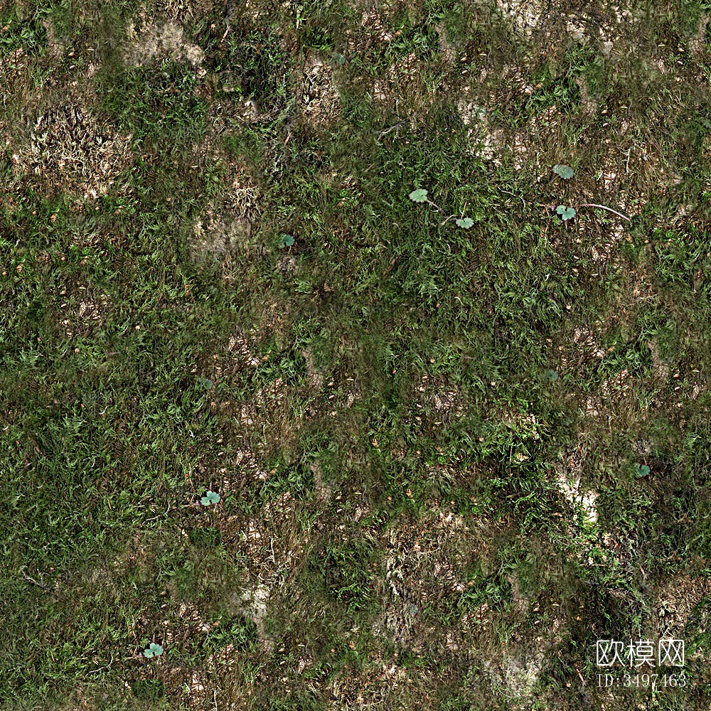 高清苔藓草地 草坪 草皮草坡 泥土地面 泥巴土壤下载