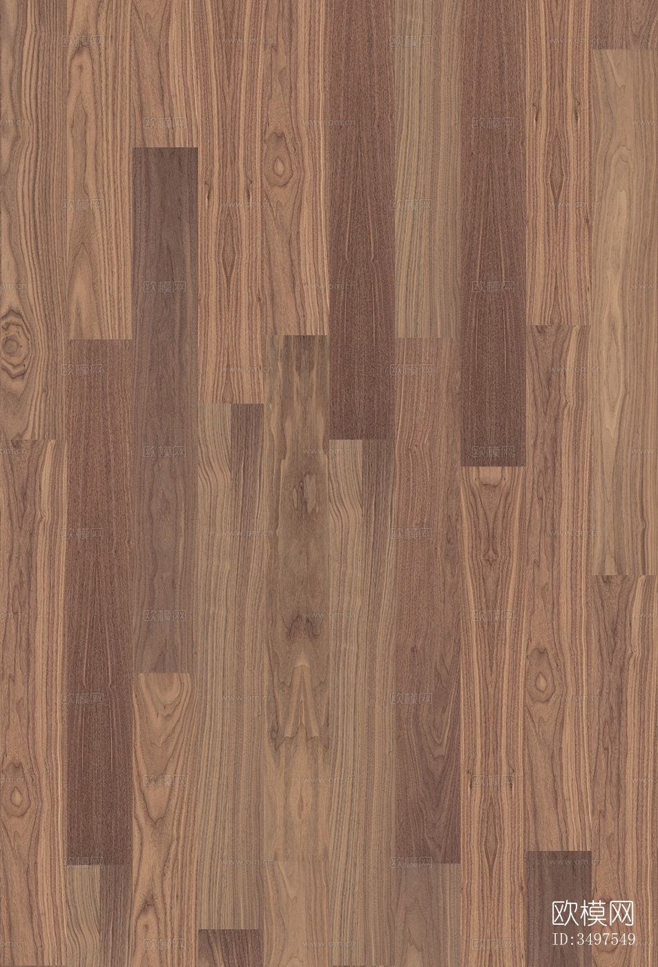 橡木木地板下载