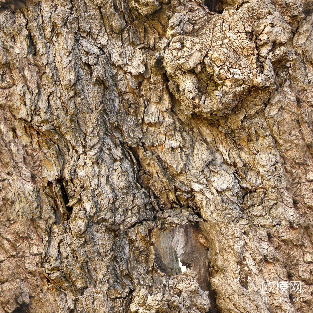 无缝开裂干枯树皮纹理下载