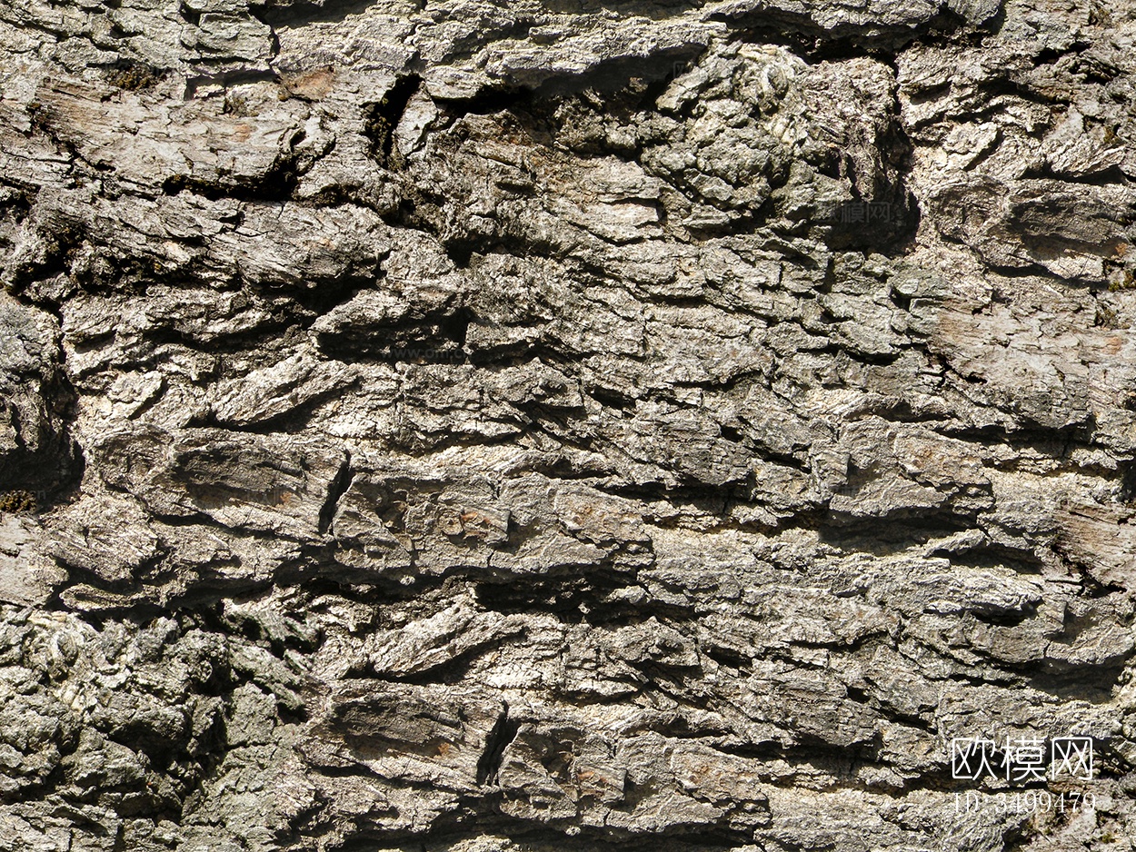 无缝开裂干枯树皮纹理下载