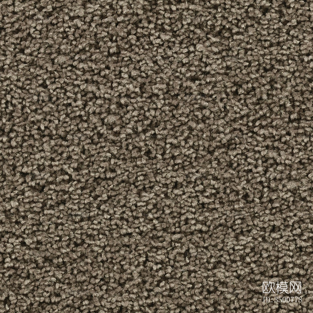 无缝现代酒店办公室棕色毛绒满铺地毯地垫下载