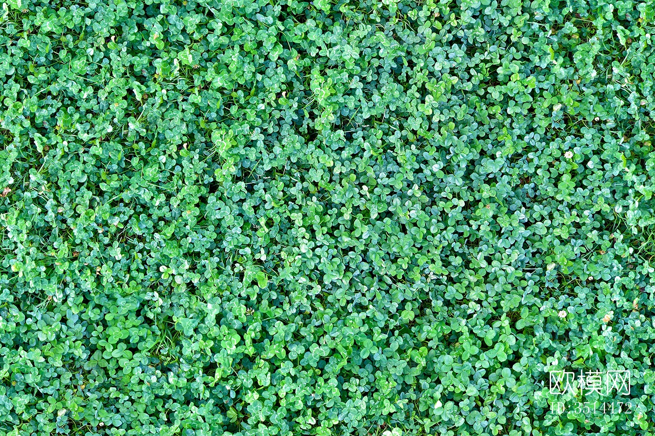 无缝园林庭院景观绿色草坪草地草皮地面下载