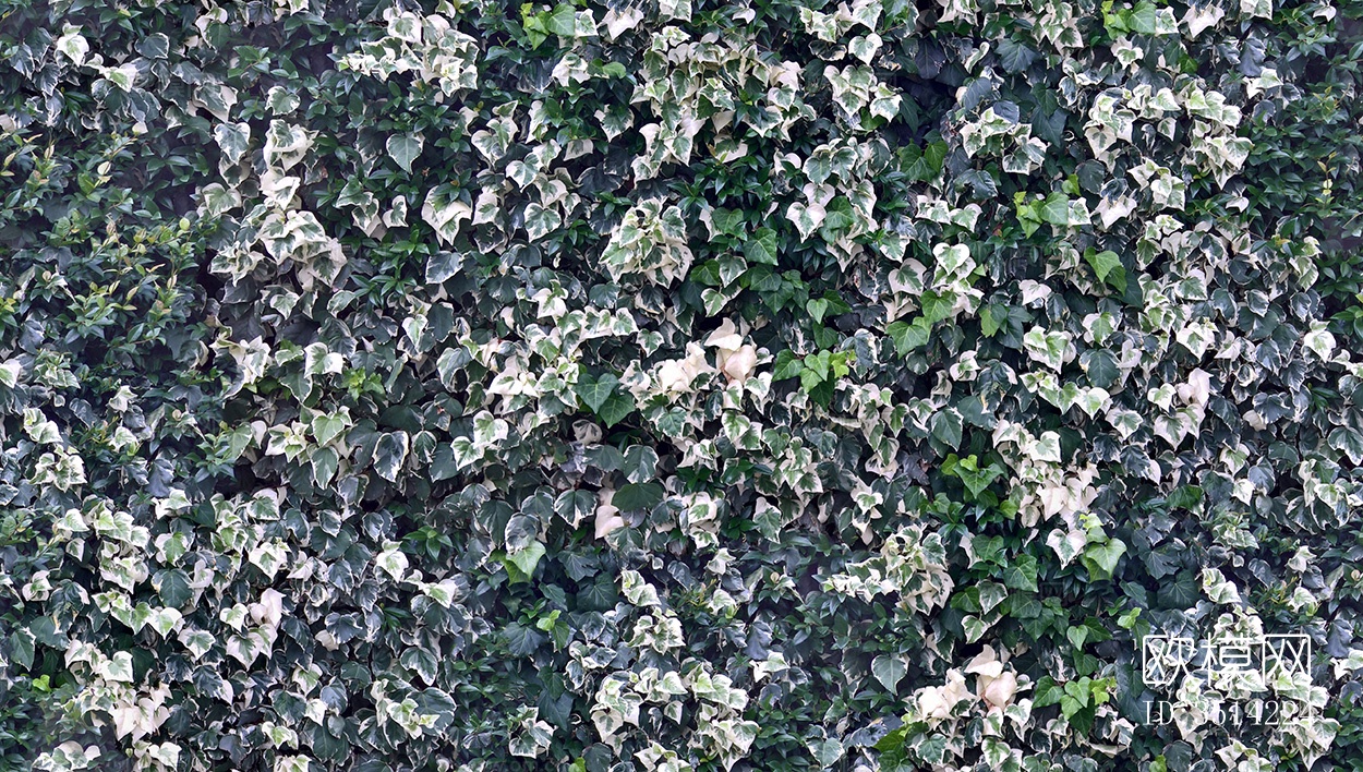 无缝绿色景观草地灌木植物树篱笆墙面下载