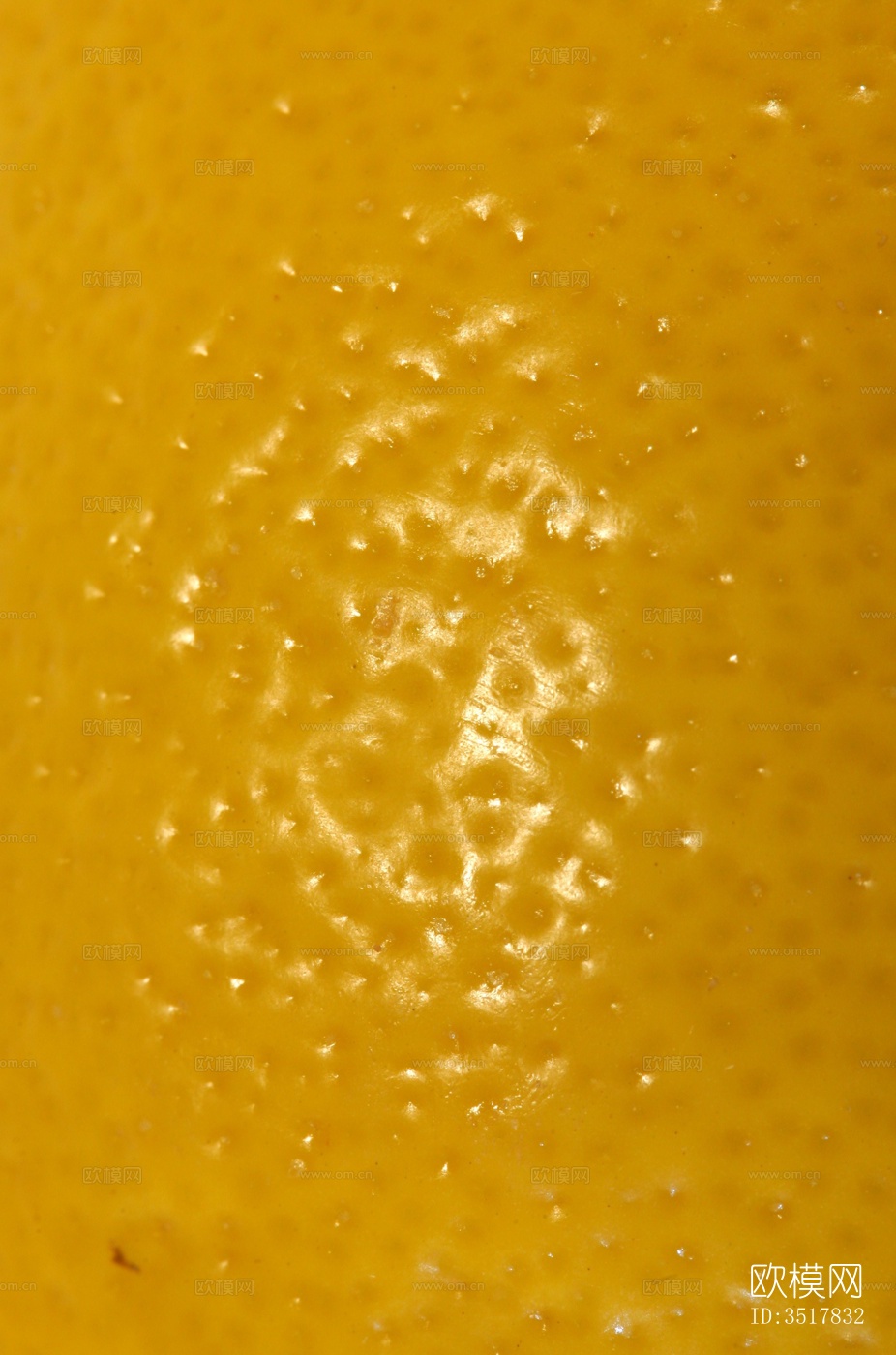 橘子皮果皮下载