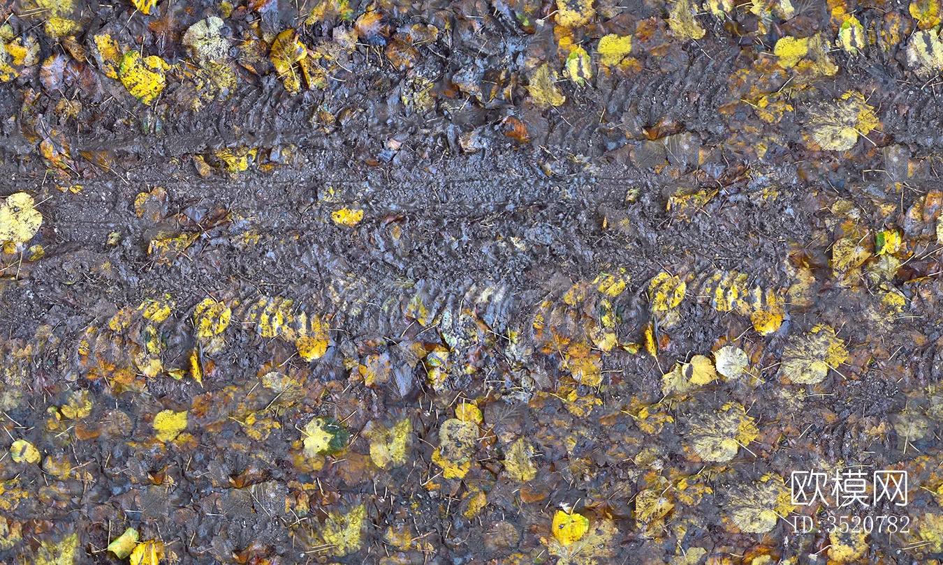 无缝枯黄枯枝落叶树叶草皮草地草坪道路地面下载