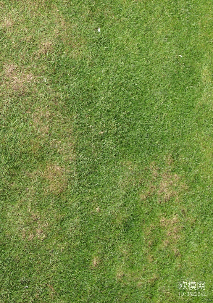 真实室外场景草坪下载