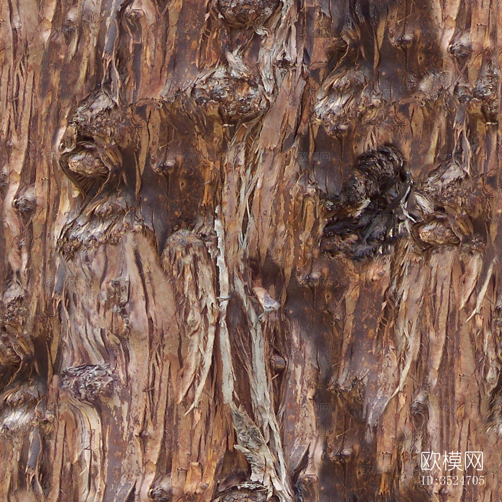 无缝开裂干枯树皮树干纹理下载