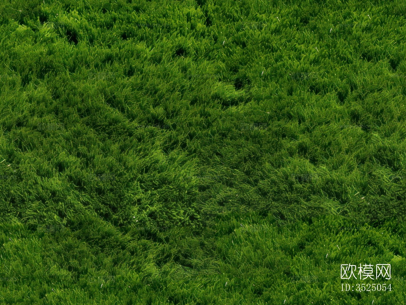 无缝草皮草坪贴图5下载