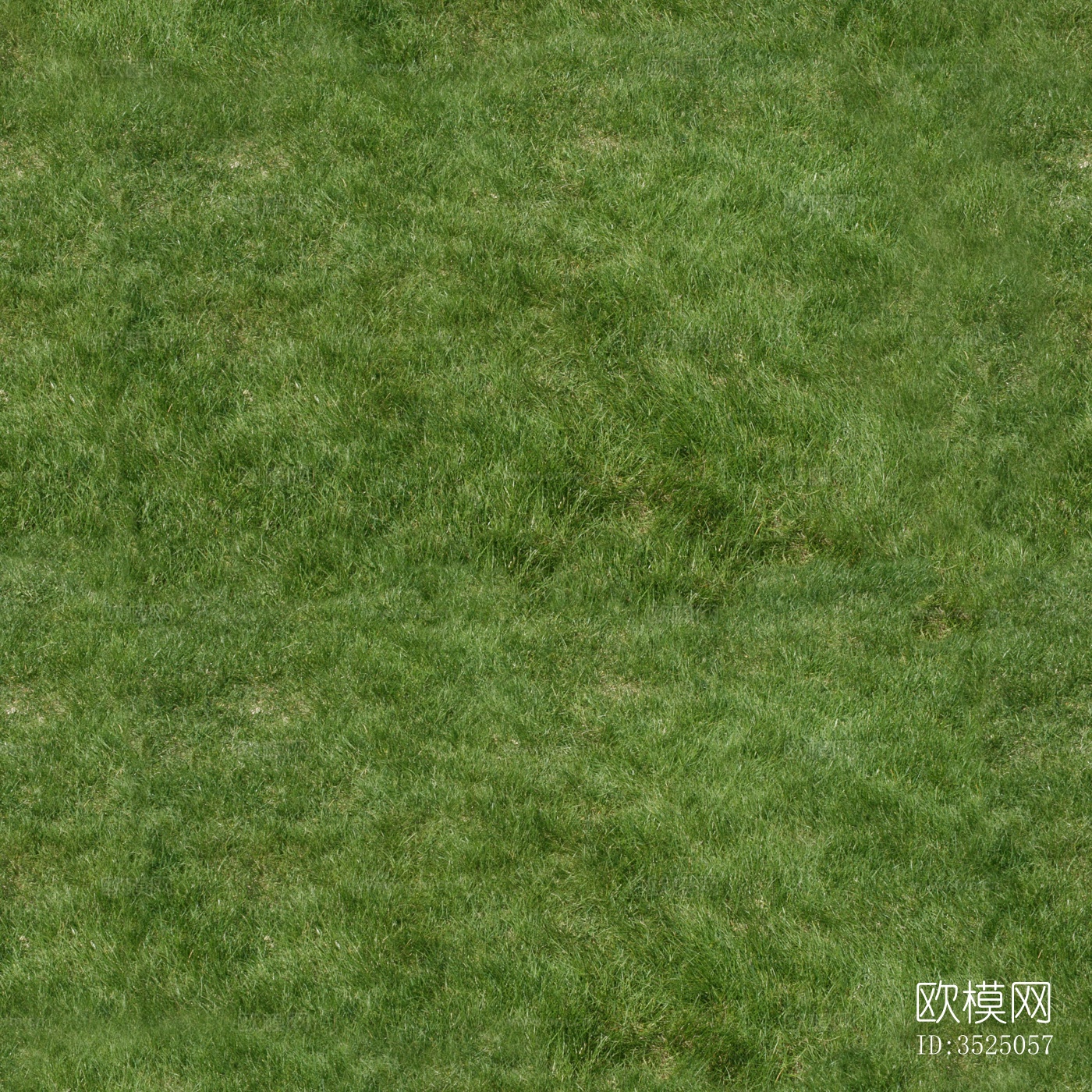 无缝真实草地贴图3下载