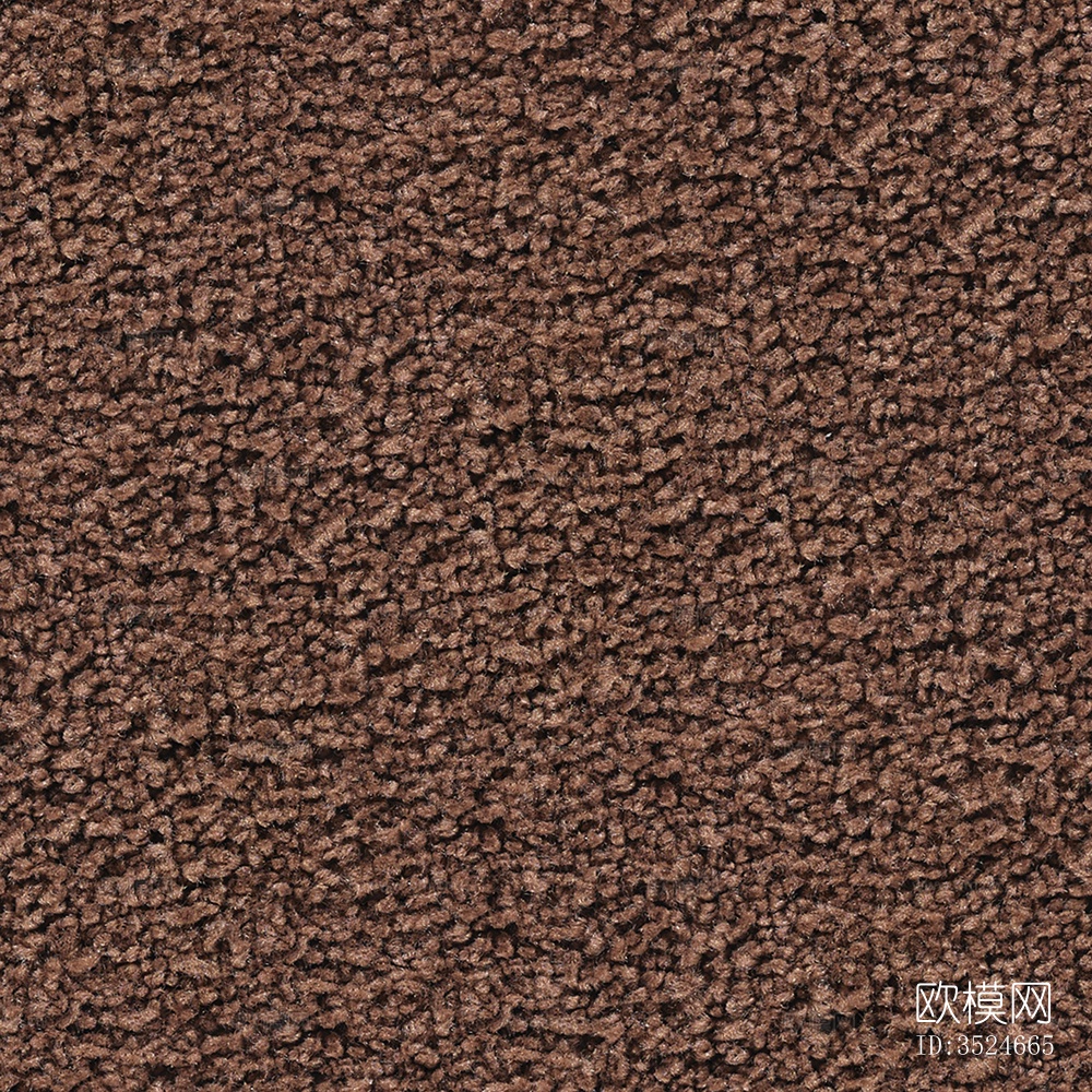 无缝现代酒店办公室棕色毛绒满铺地毯地垫下载