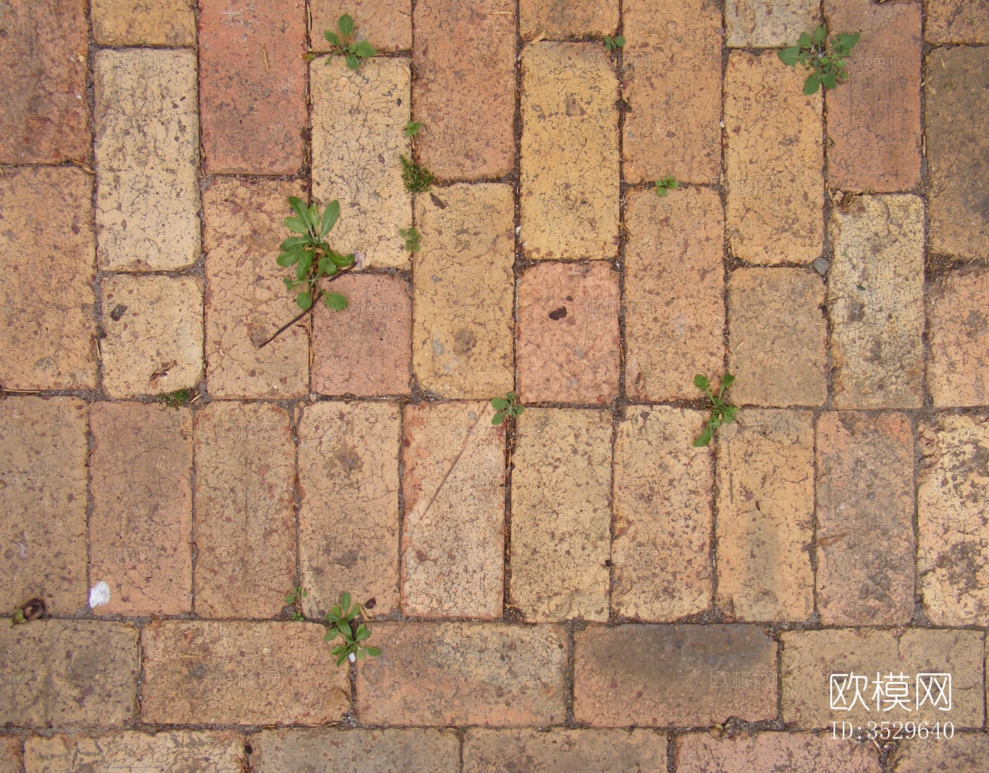 室外地面砖下载